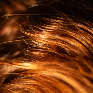 Cheveux & vitalité